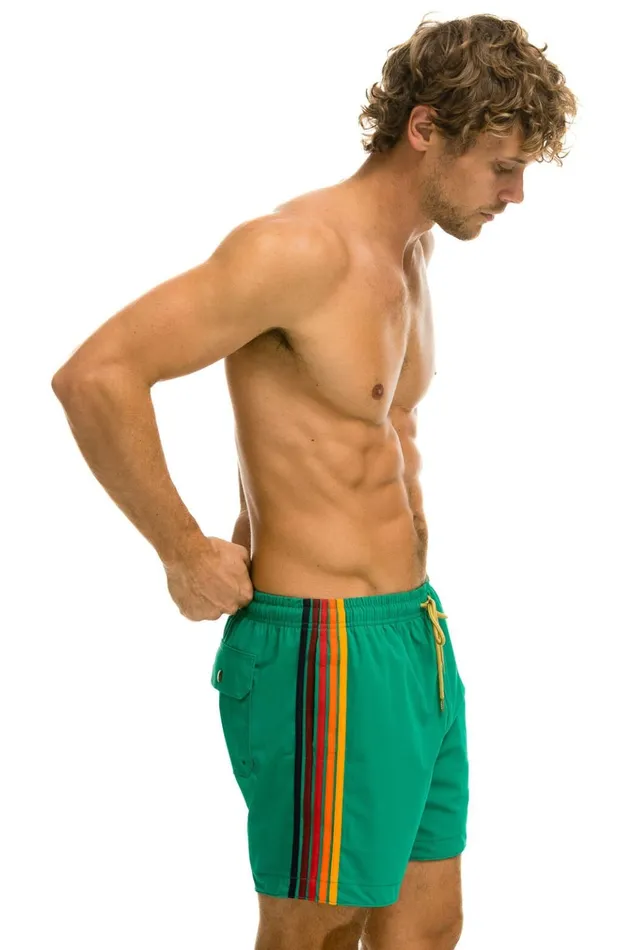 5 STRIPE FLEX SHORTS 8211 AMAZON Men Aviator Nation Shorts