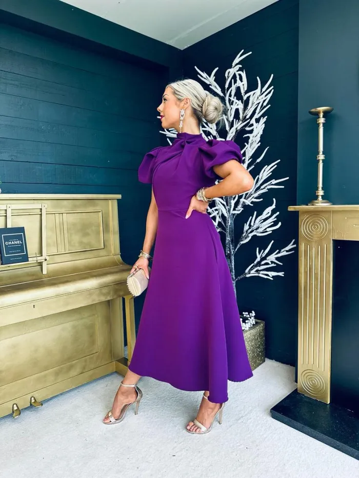 Claudia Detailed Occasion Dress Plum Womens Canella Lane Maxi