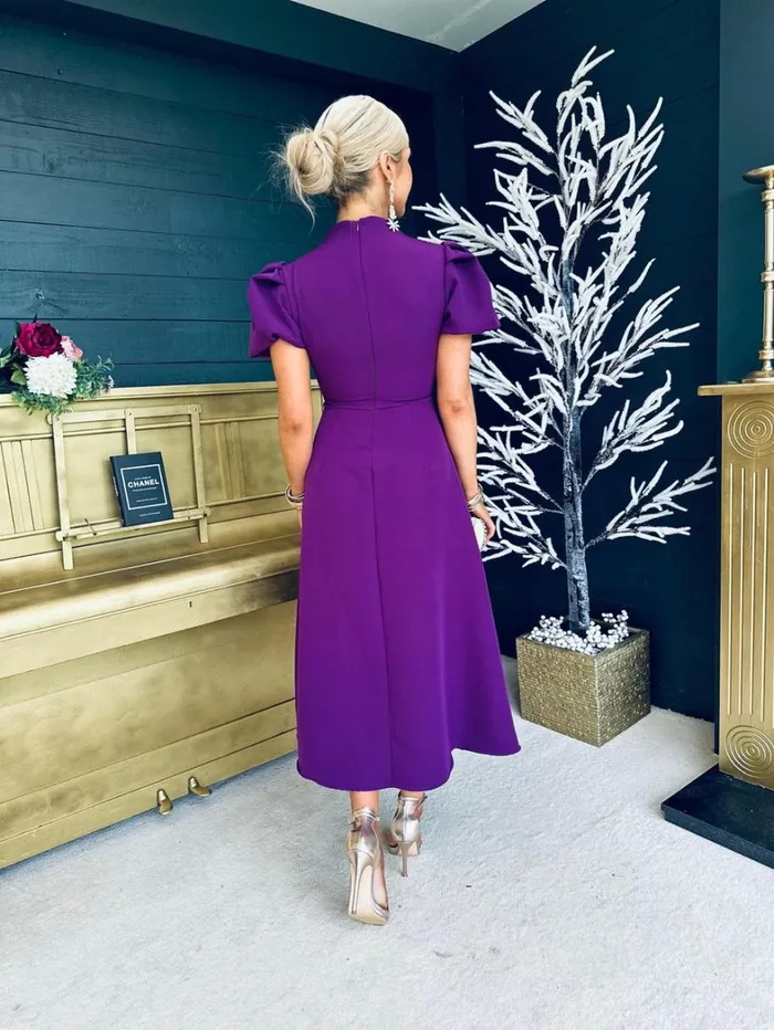 Claudia Detailed Occasion Dress Plum Womens Canella Lane Maxi