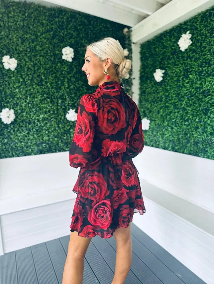Crissy Frill Detail Mini Dress Ruby Womens Canella Lane Mini
