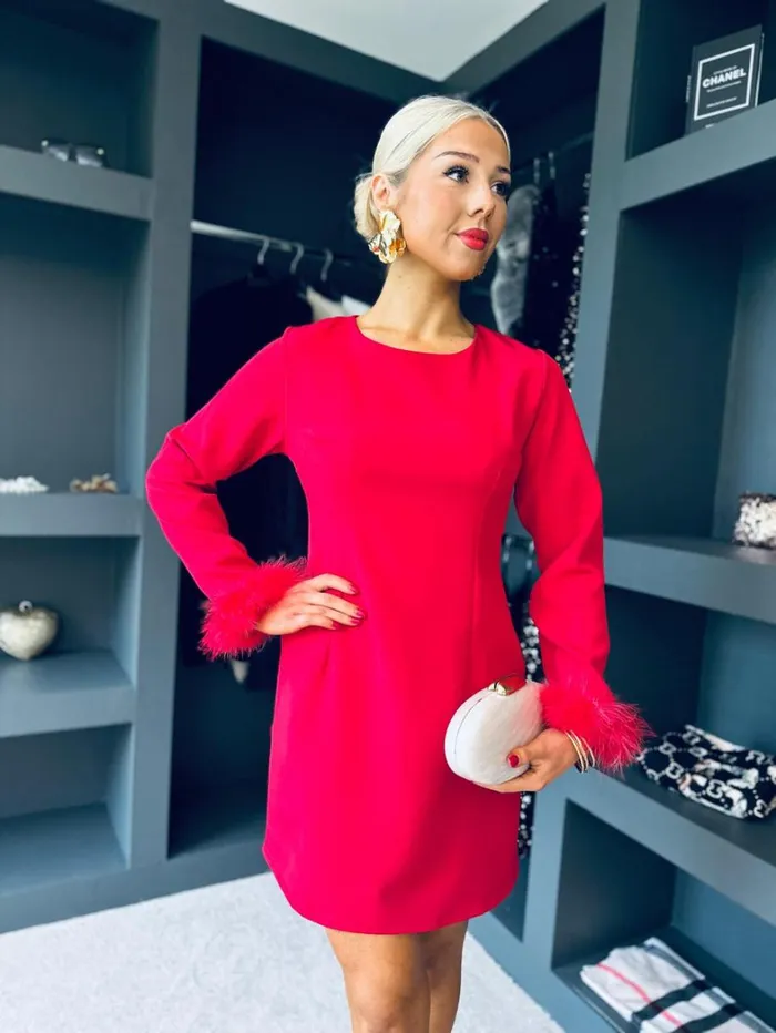Eabha Feather Detail Mini Red Womens Canella Lane Evening Dress