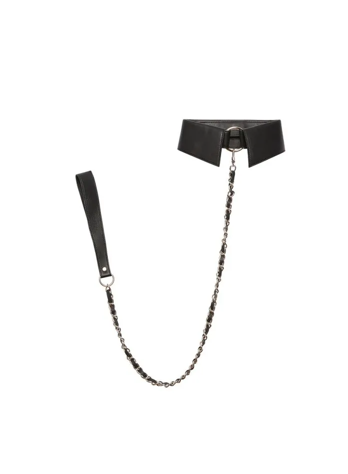 Fleur Du Mal Pleasure Leather Collar With Detachable Lead Black 8211 Women Fleur Du Mal Pleasure Leather Collar With Detachable Lead Black 8211 Women