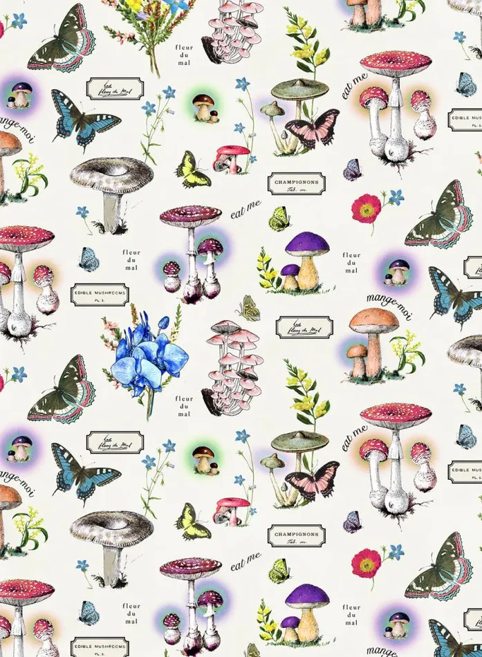 Fleur Du Mal Sleepwear Magical Mushroom PJ Short Ivory Mushroom Print 8211 Women Fleur Du Mal Sleepwear Magical Mushroom PJ Short Ivory Mushroom Print 8211 Women