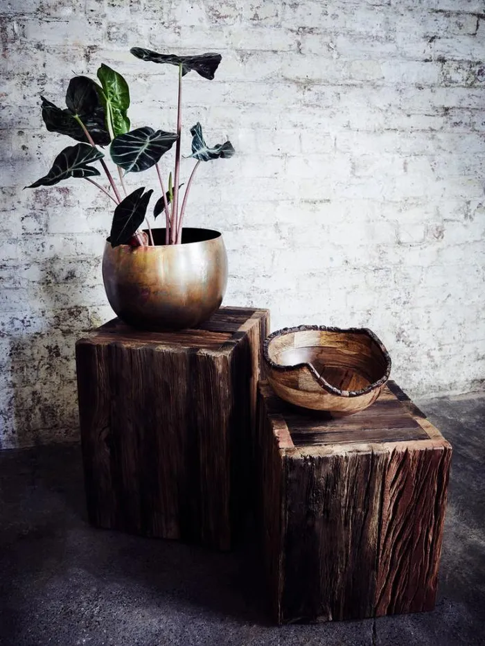 Home French Connection Home Accessories Dikita Mango Wood Bowl Natural