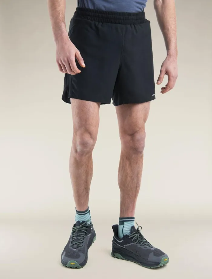 Icebreaker Merino Blend 125 ZoneKnit Speed 6034 Shorts Black Men039s Pants Tights and Shorts