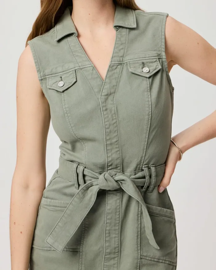 Kelsee Dress 8211 Vintage Sweet Succulent Women PAIGE Dresses Kelsee Dress 8211 Vintage Sweet Succulent Women PAIGE Dresses