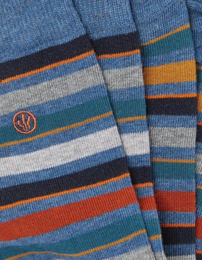 Men Socks and Underwear FatFace 1 Pack Guz Multi Stripe Socks Blue Marl