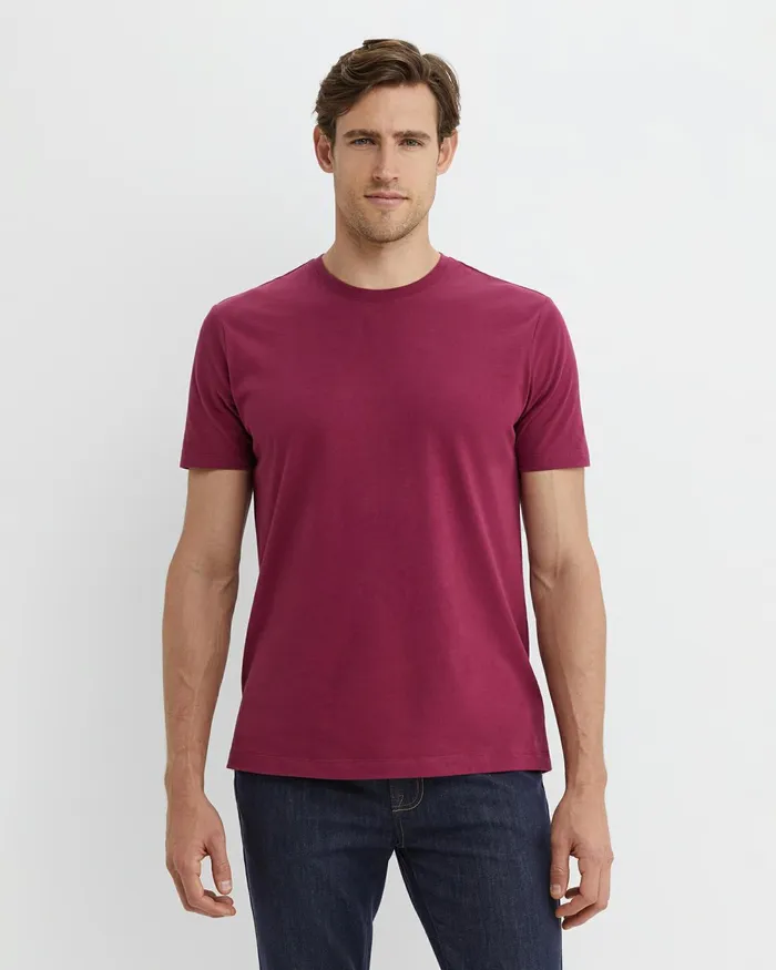Men TShirts and Polos Sportscraft Supersoft Tee Mulberry