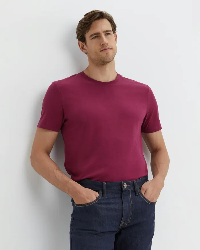Men TShirts and Polos Sportscraft Supersoft Tee Mulberry