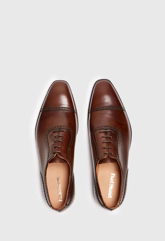 Men The Westbourne Brown Leather Cap Toe Brown Paul Stuart Laceups and Oxfords Men The Westbourne Brown Leather Cap Toe Brown Paul Stuart Laceups and Oxfords