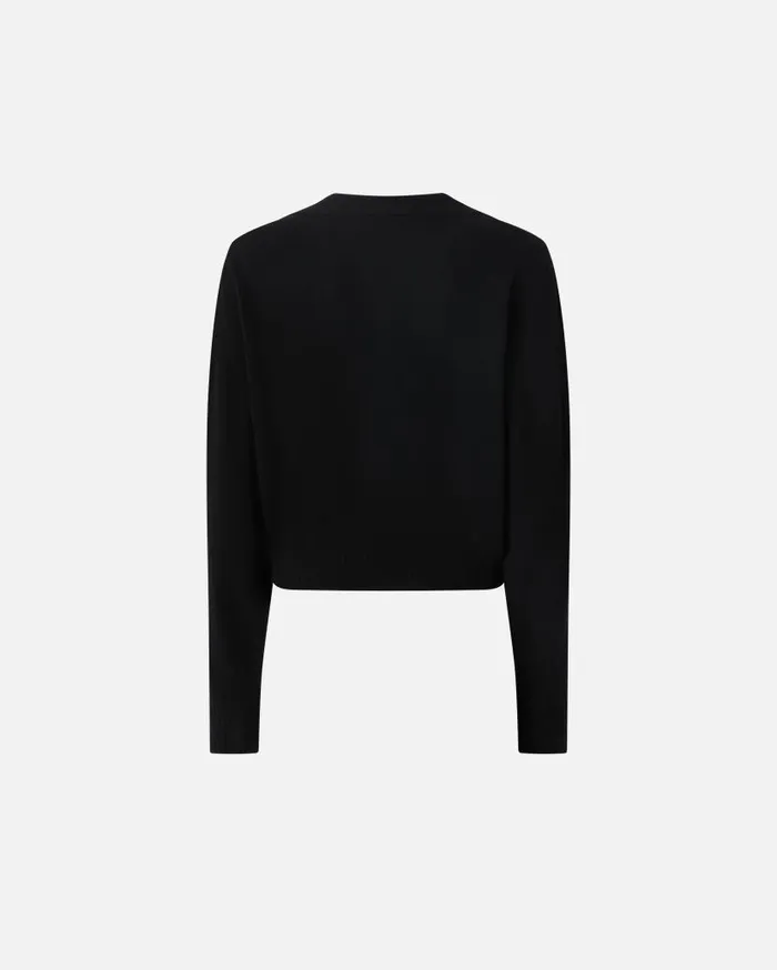 Pinko Short Cashmereblend Sweater With Collar Limo Black Women Knitwear