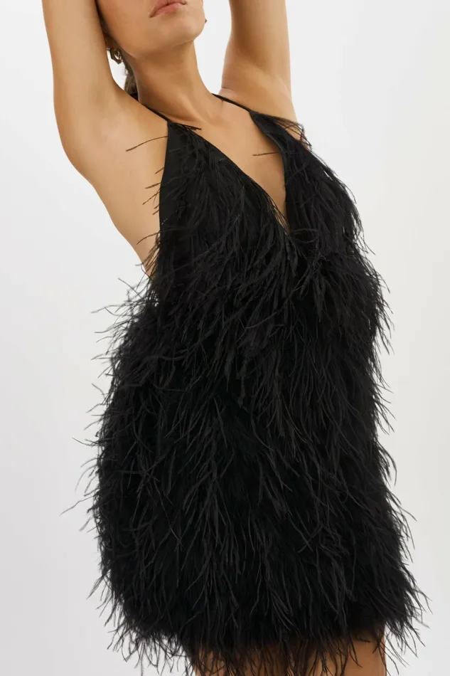 Solveig Feather Dress Black Women Lamarque DRESSES