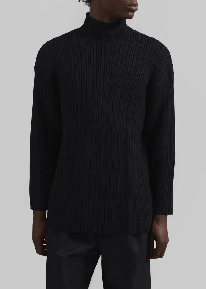 The Frankie Shop Knitwear Men Louis Gabriel Nouchi Mockneck Rib Sweater 8211 Black