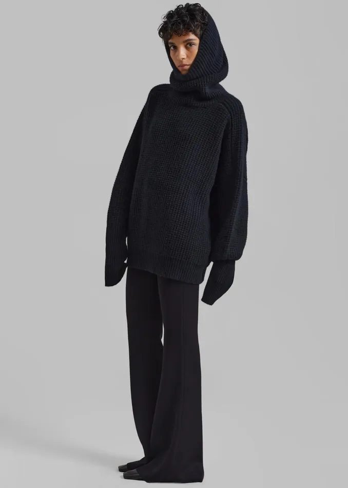 The Frankie Shop Knitwear Women Bex Wool Hooded Turtleneck 8211 Black
