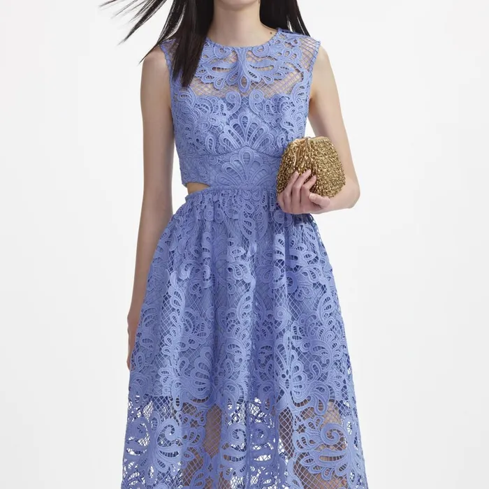Women Blue Lace Cut Out Midi Dress Self Portrait Dresses