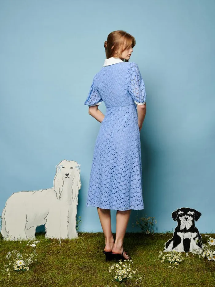 Womenswear Dresses Sister Jane Bella Lace Midi Dress Cornflower Blue Womenswear Dresses Sister Jane Bella Lace Midi Dress Cornflower Blue