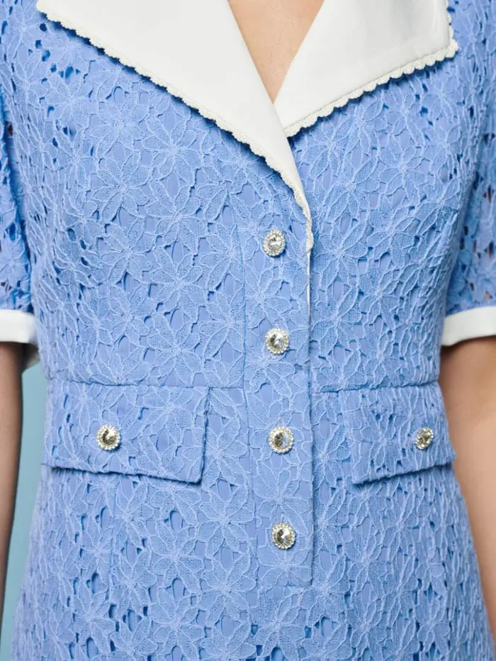 Womenswear Dresses Sister Jane Bella Lace Midi Dress Cornflower Blue Womenswear Dresses Sister Jane Bella Lace Midi Dress Cornflower Blue